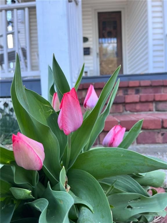 209 S Holbrook Street — photo 7