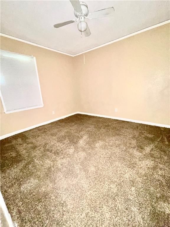 3941 Vineyard Road — photo 12