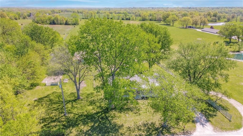19109 S Dickerson Road — photo 5