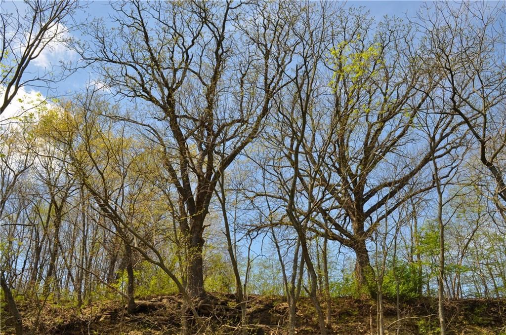 6784 County Road 210 N/A — photo 32