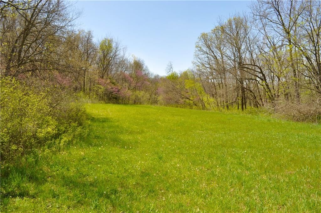 6784 County Road 210 N/A — photo 36
