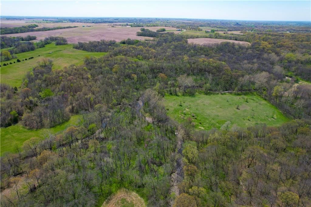 6784 County Road 210 N/A — photo 5