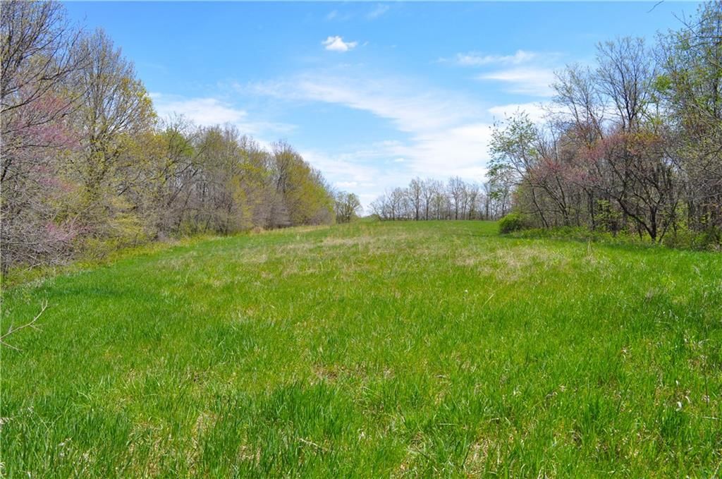 6784 County Road 210 N/A — photo 45