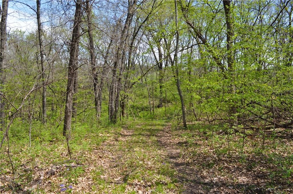 6784 County Road 210 N/A — photo 47