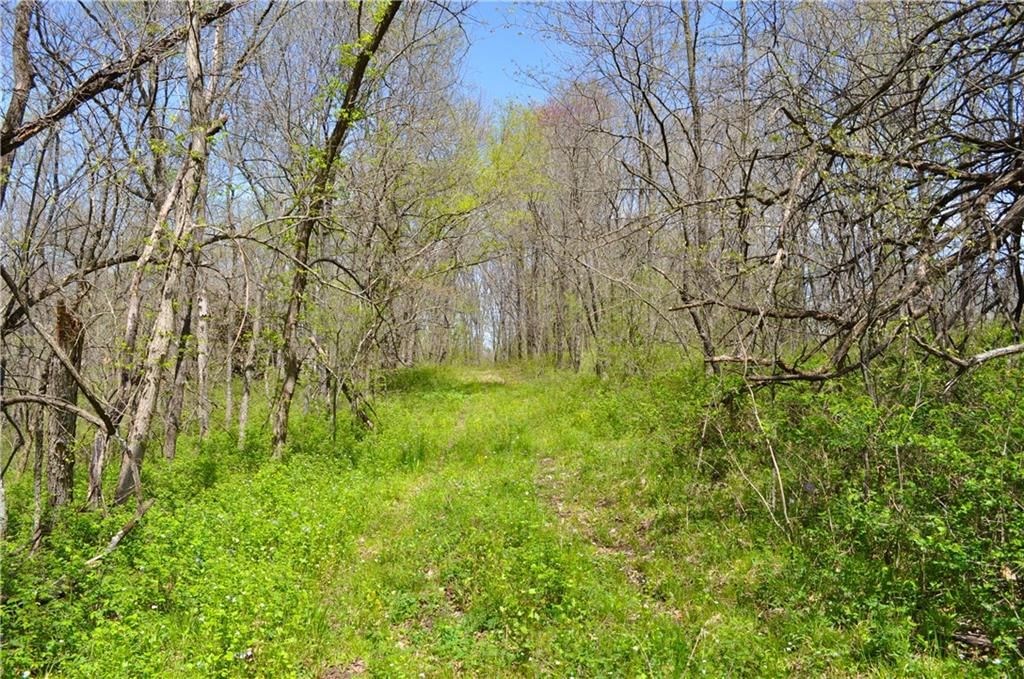 6784 County Road 210 N/A — photo 48
