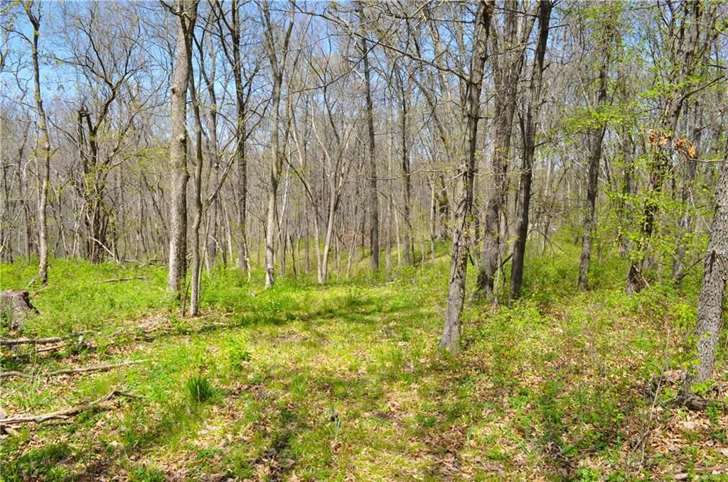 6784 County Road 210 N/A — photo 49