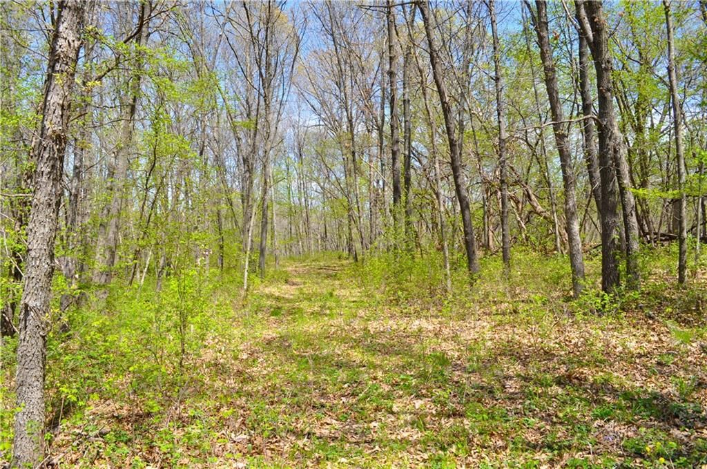 6784 County Road 210 N/A — photo 50