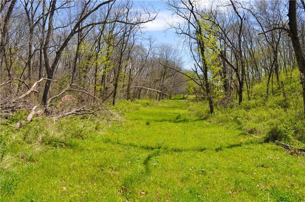 6784 County Road 210 N/A — photo 52