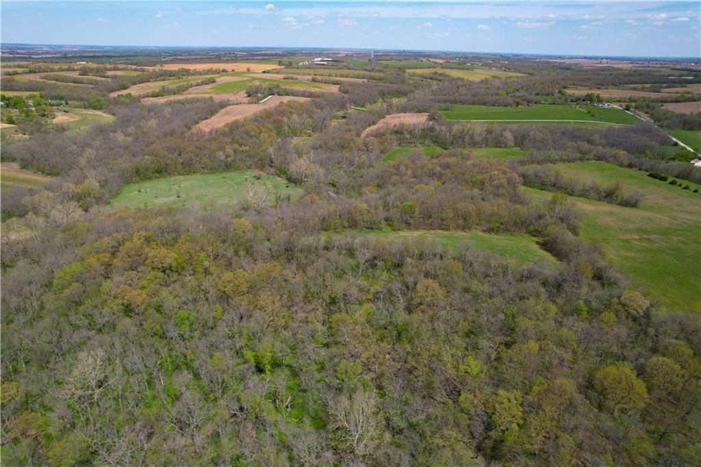 6784 County Road 210 N/A — photo 10