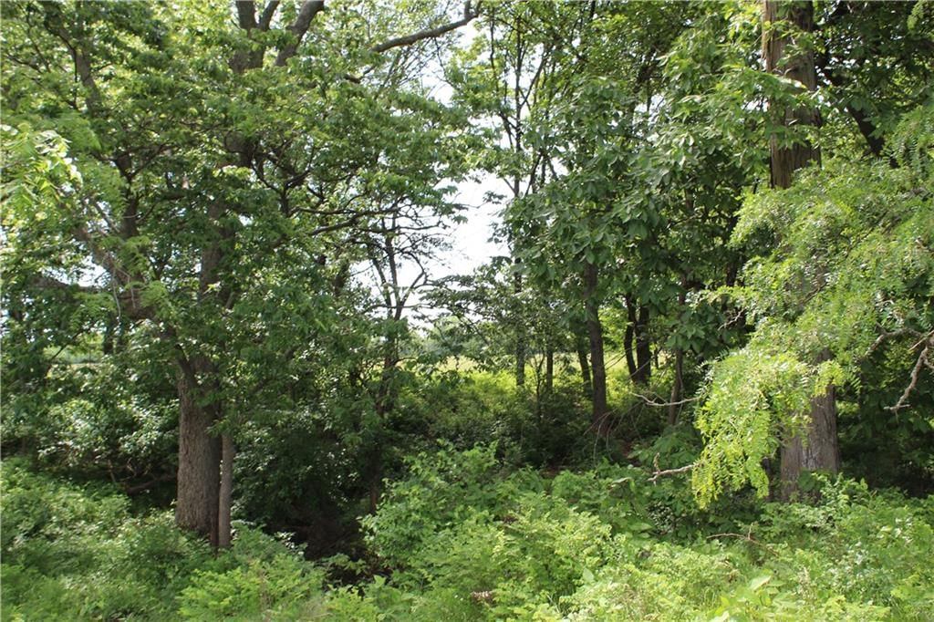 1347 Kentucky Road — photo 9