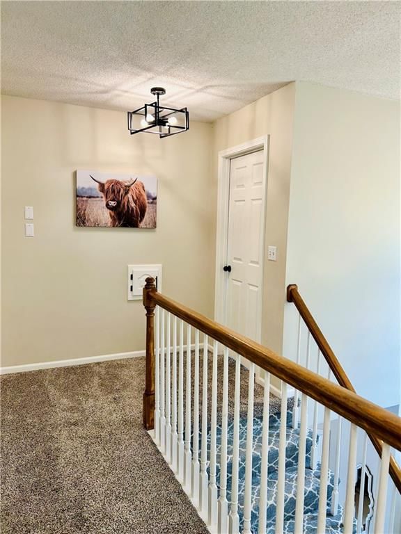 7514 N SKILES Court — photo 20