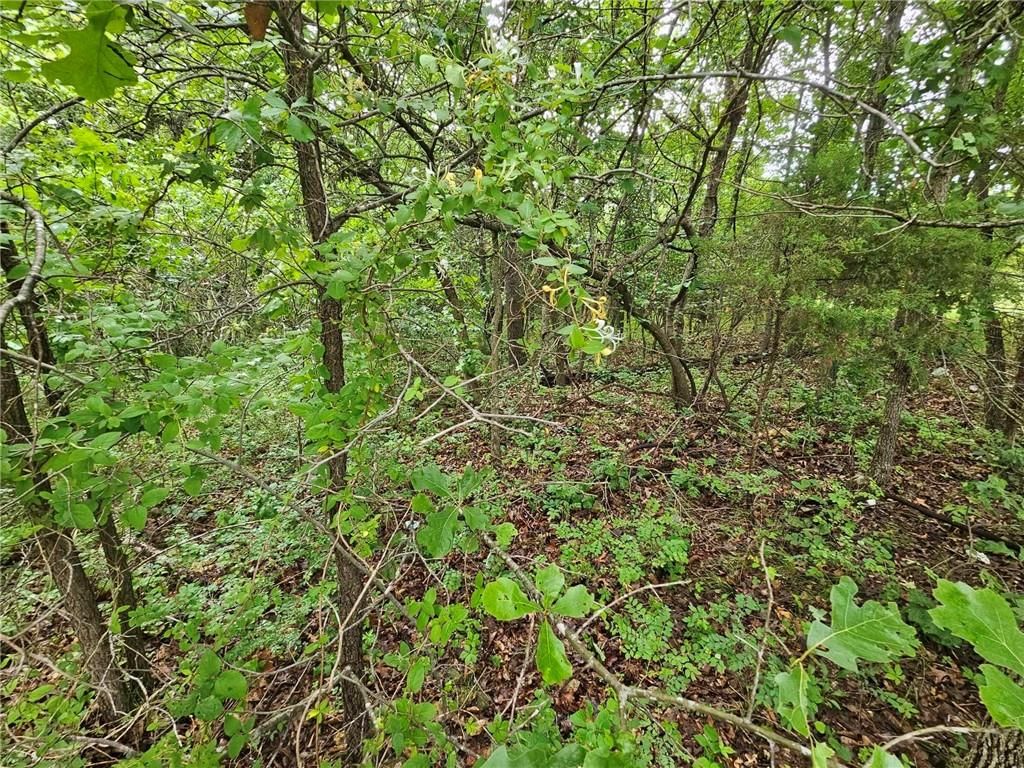 11537 Highway 7 Highway — photo 11