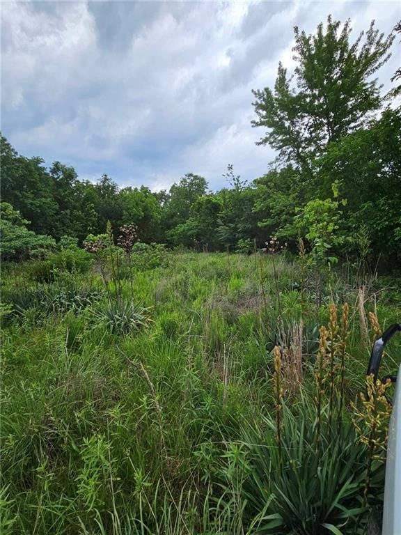 11537 Highway 7 Highway — photo 12