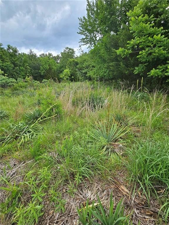11537 Highway 7 Highway — photo 13