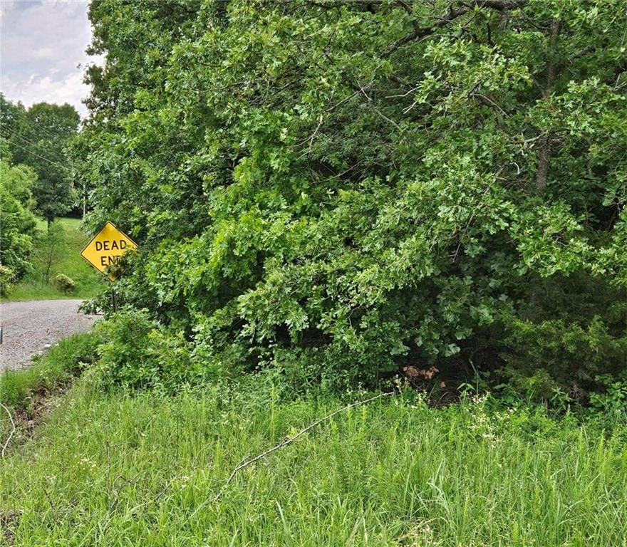 11537 Highway 7 Highway — photo 15