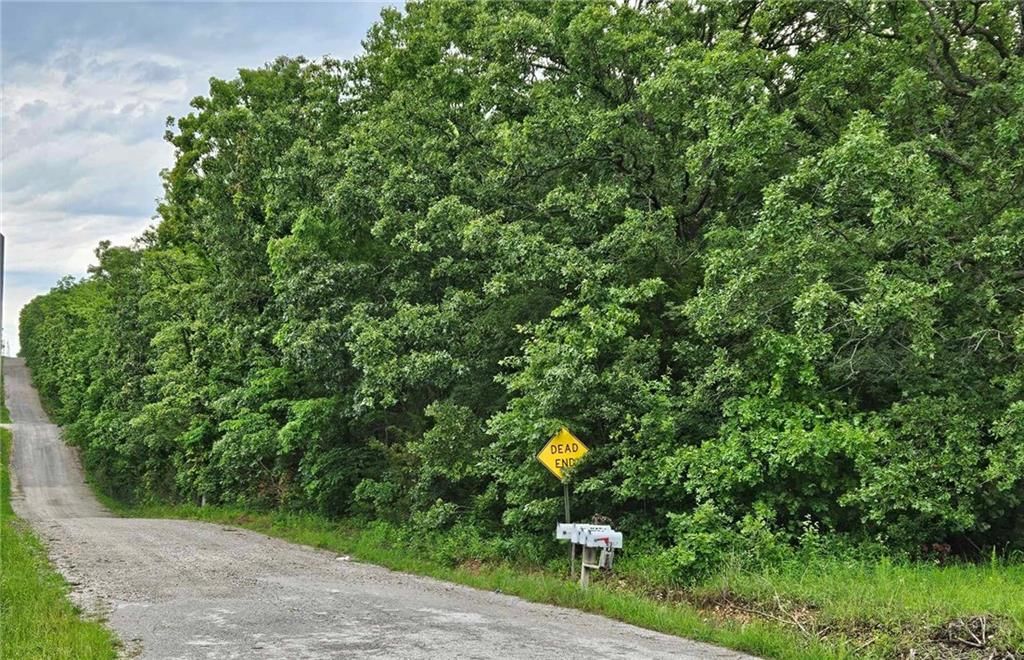 11537 Highway 7 Highway — photo 16