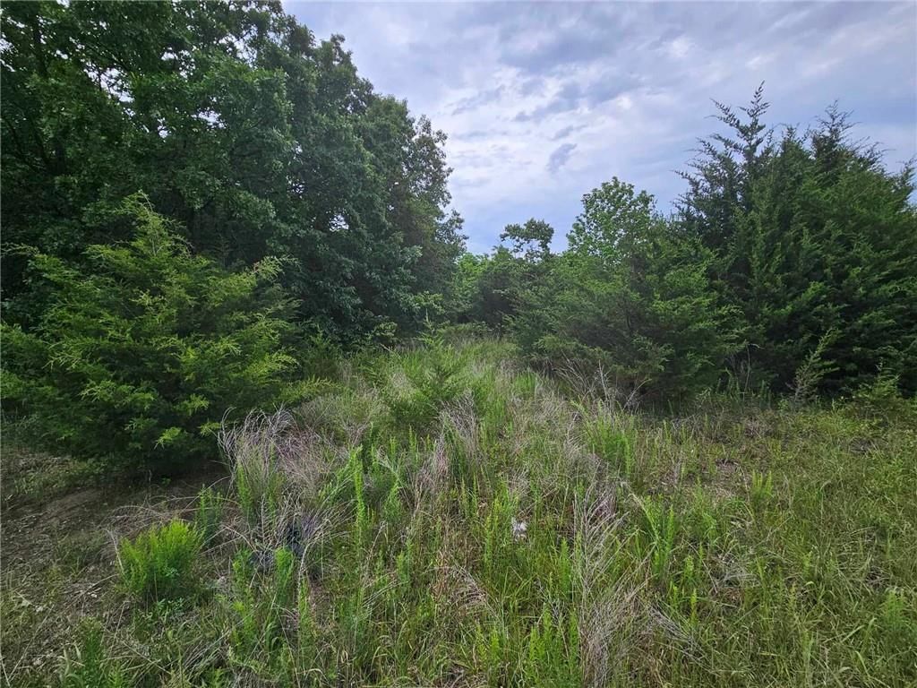 11537 Highway 7 Highway — photo 7
