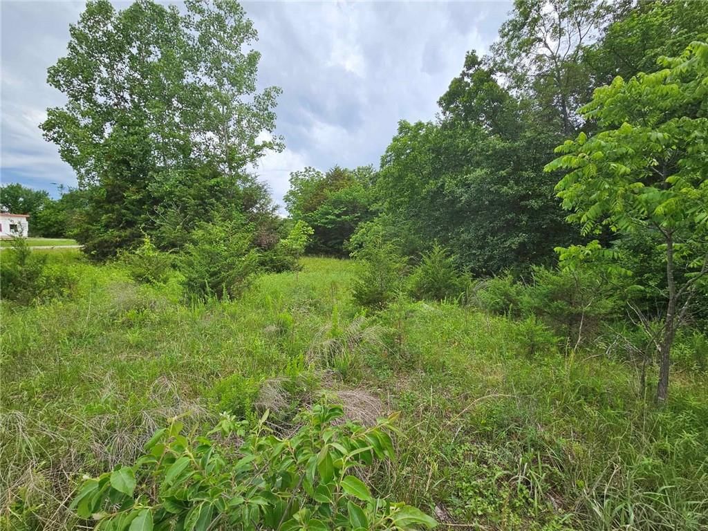 11537 Highway 7 Highway — photo 8