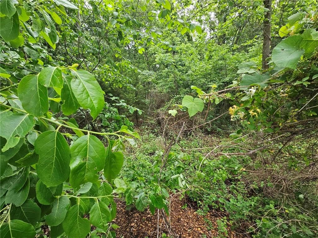 11537 Highway 7 Highway — photo 10