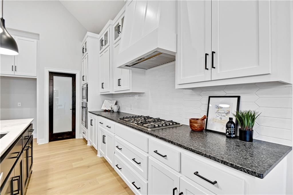 25079 W 98th Place — photo 8