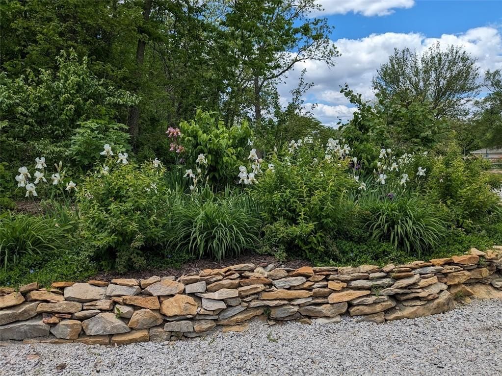 7201 Elm Drive — photo 7