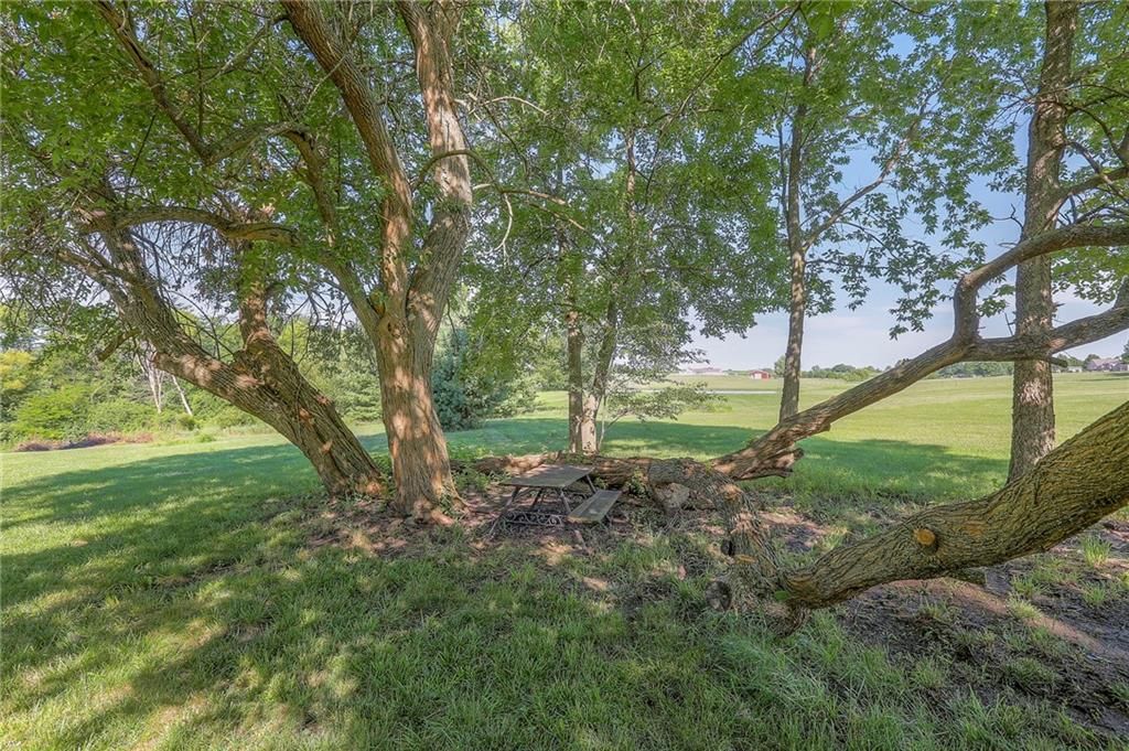 14802 Lake Pointe Court — photo 10
