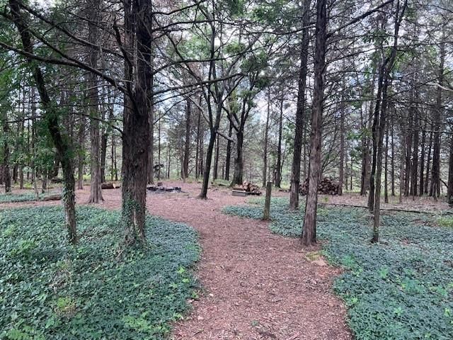 4287 Cr 2500 Road — photo 5