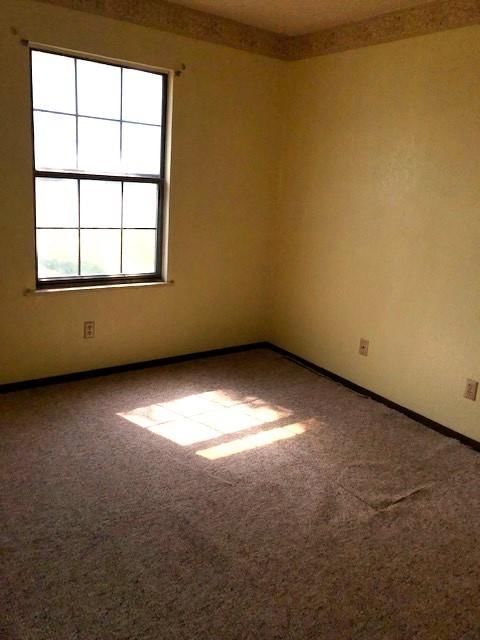 442 Sinclair Drive — photo 8