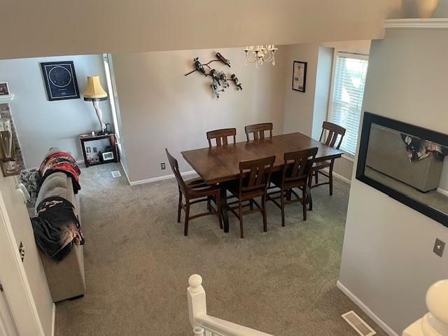 4406 Maple Tree Court — photo 14