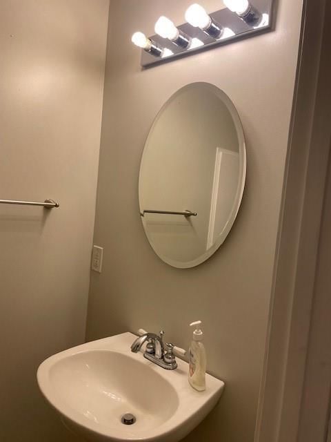 4406 Maple Tree Court — photo 29