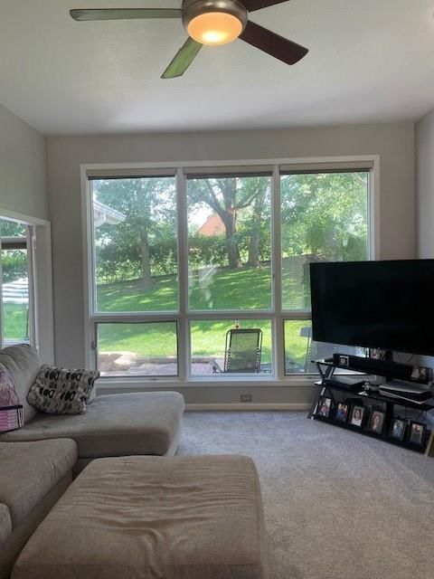 4406 Maple Tree Court — photo 5