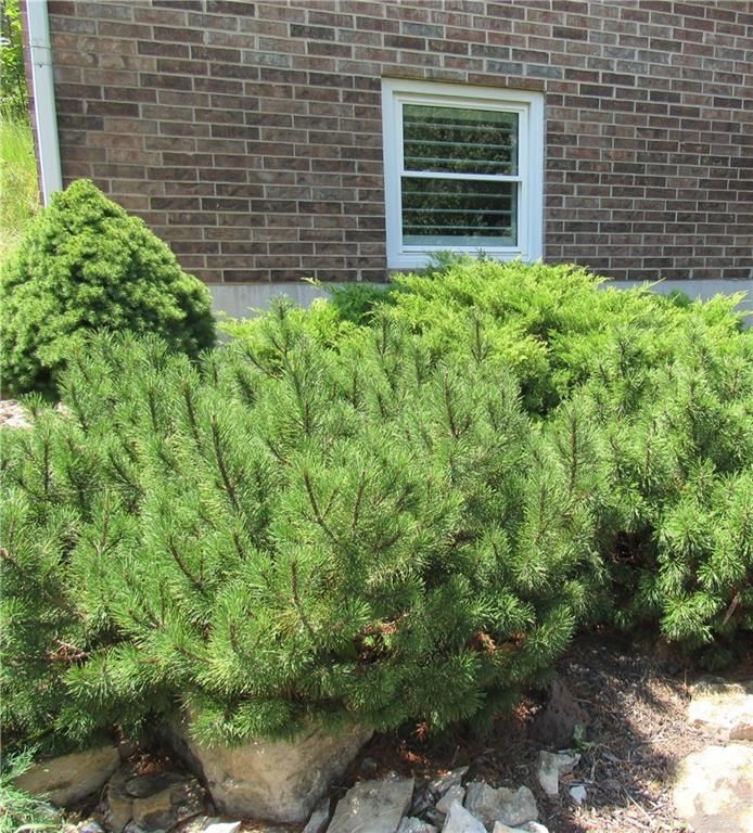 13009 McGee Avenue — photo 5