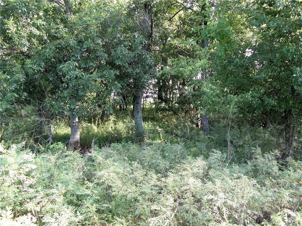 19587 300 Road — photo 64