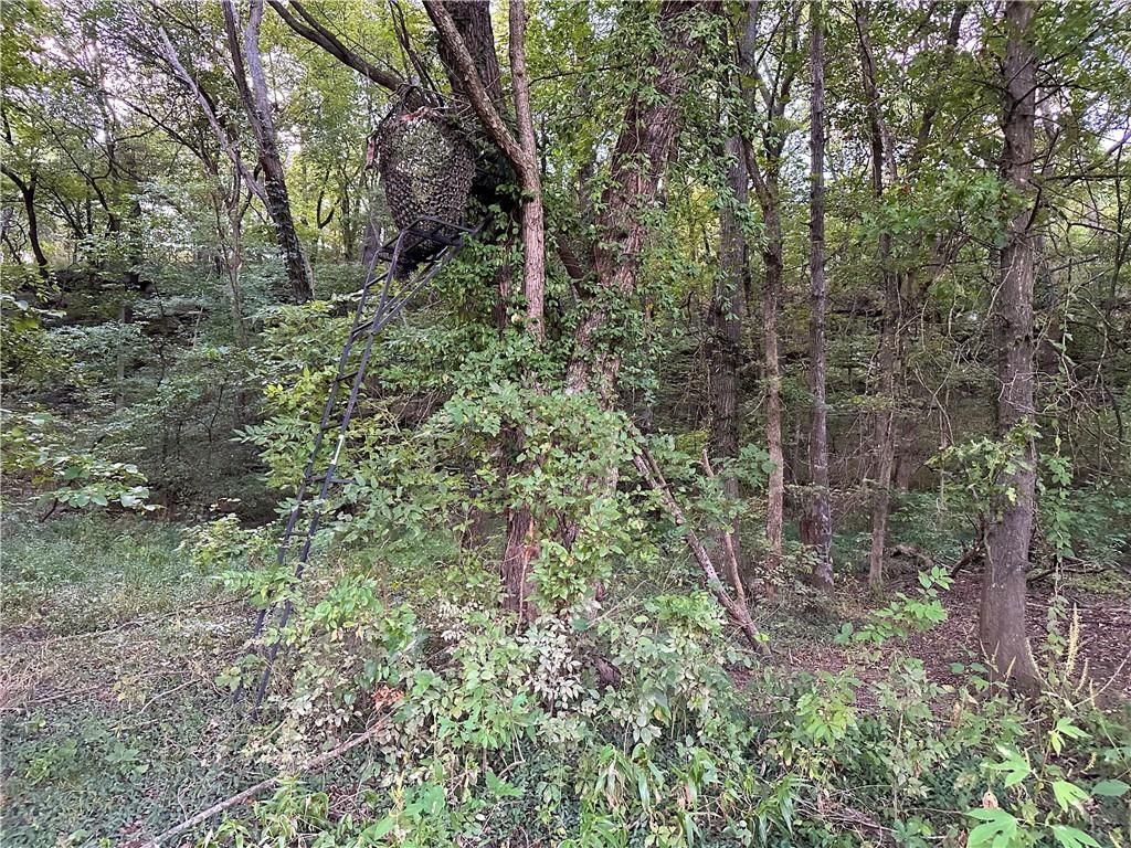 28156 E Overland Road — photo 20