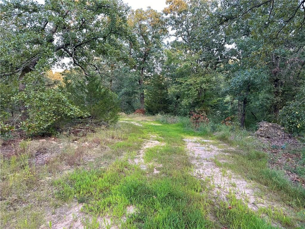 28156 E Overland Road — photo 27