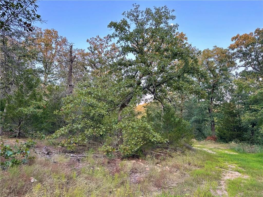 28156 E Overland Road — photo 28
