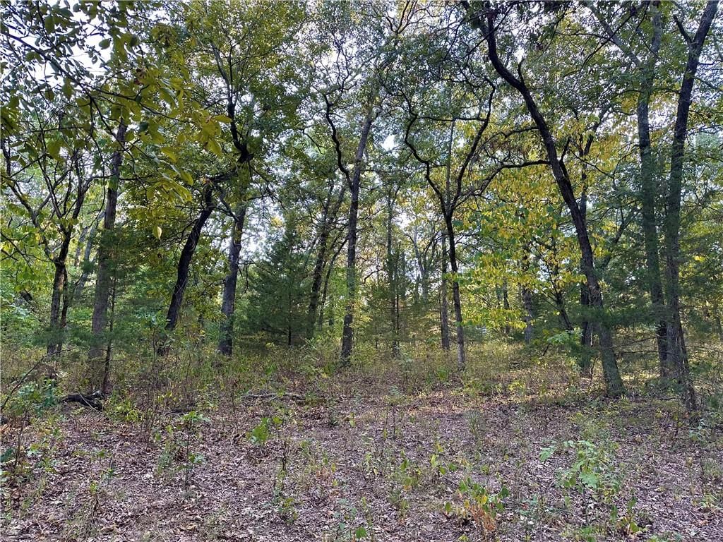 28156 E Overland Road — photo 33