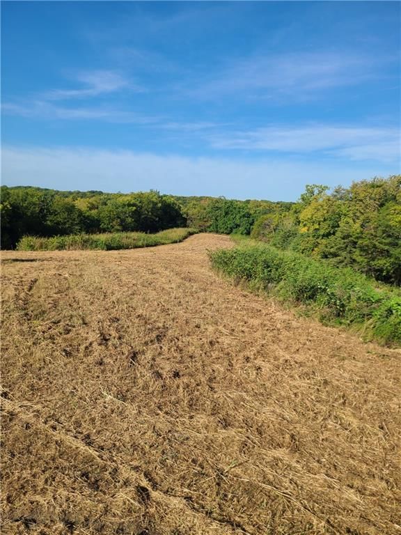 14991 County Road 410 Road — photo 11
