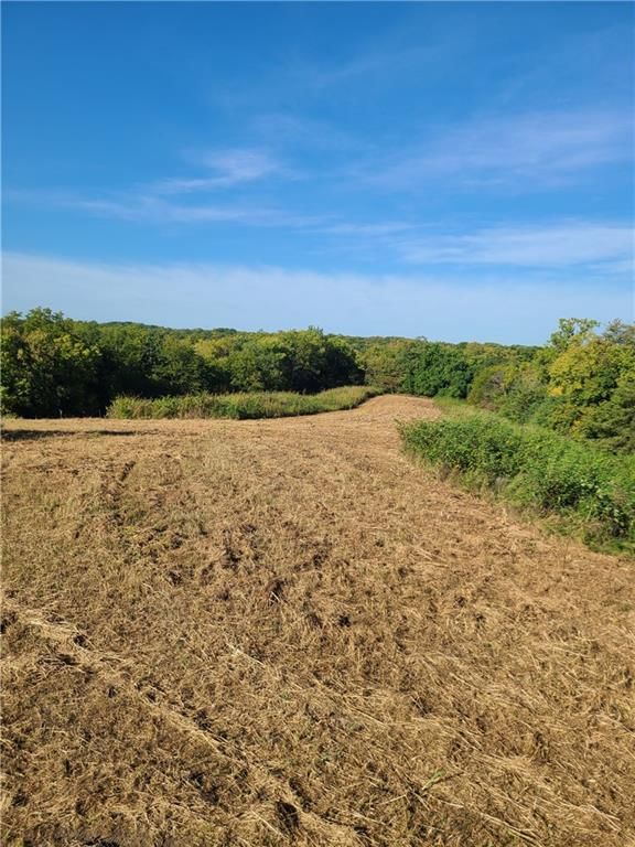 14991 County Road 410 Road — photo 12
