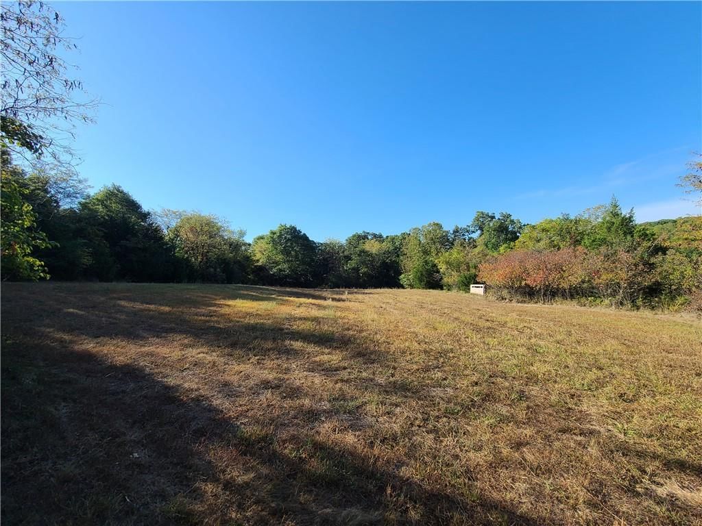 14991 County Road 410 Road — photo 13