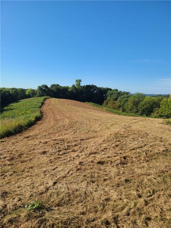 14991 County Road 410 Road — photo 14