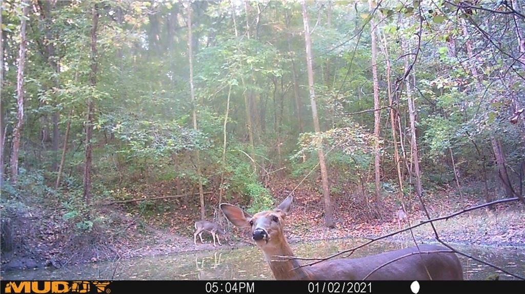 14991 County Road 410 Road — photo 7