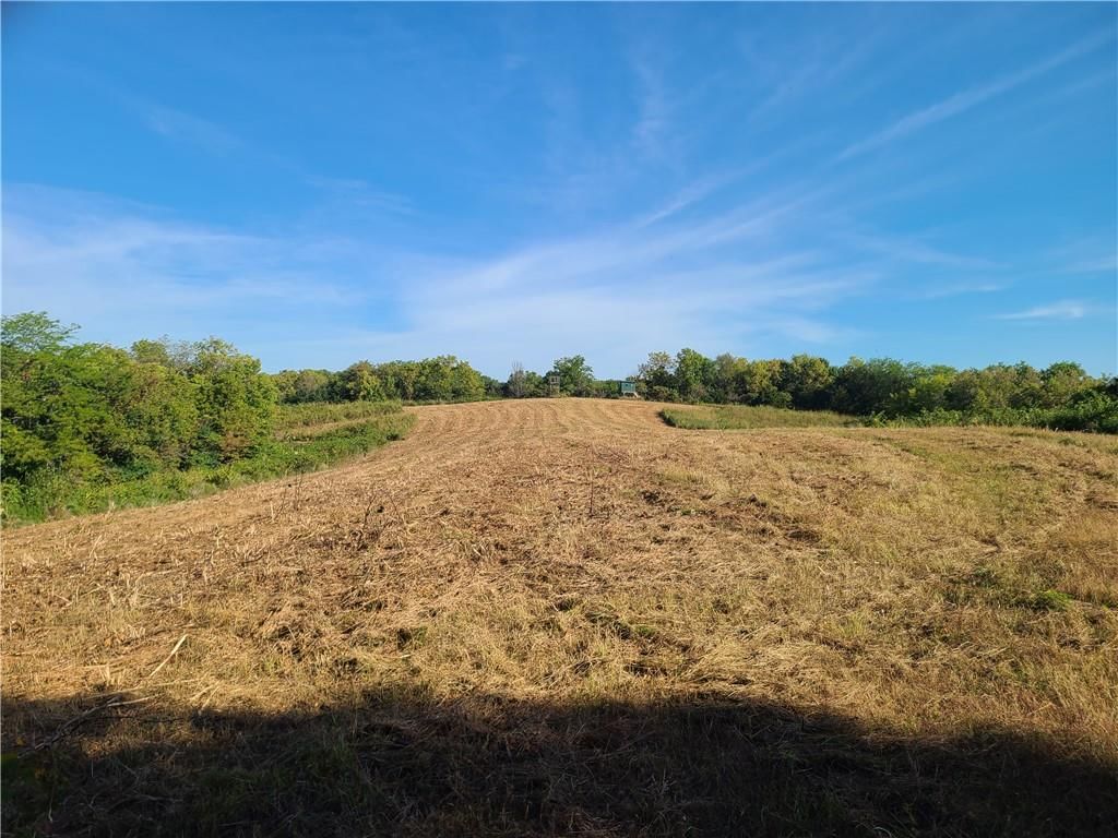 14991 County Road 410 Road — photo 9