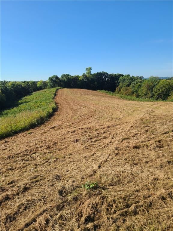 14991 County Road 410 Road — photo 10