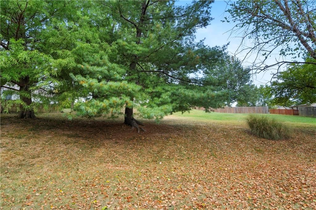8233 N Flora Avenue — photo 44