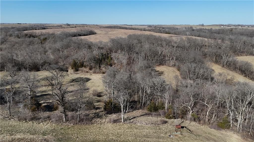 6271 County Rd 422 N/A — photo 29