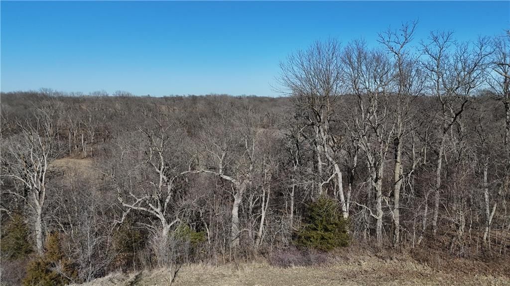 6271 County Rd 422 N/A — photo 34