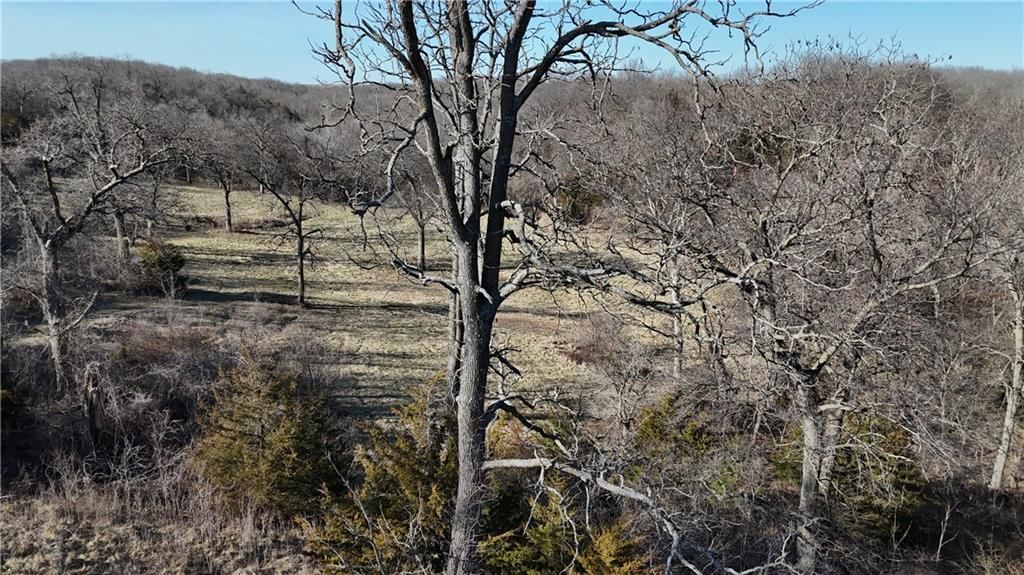 6271 County Rd 422 N/A — photo 41