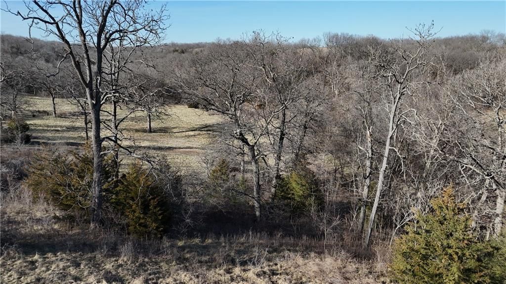 6271 County Rd 422 N/A — photo 44