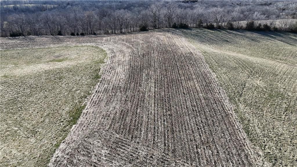 6271 County Rd 422 N/A — photo 45